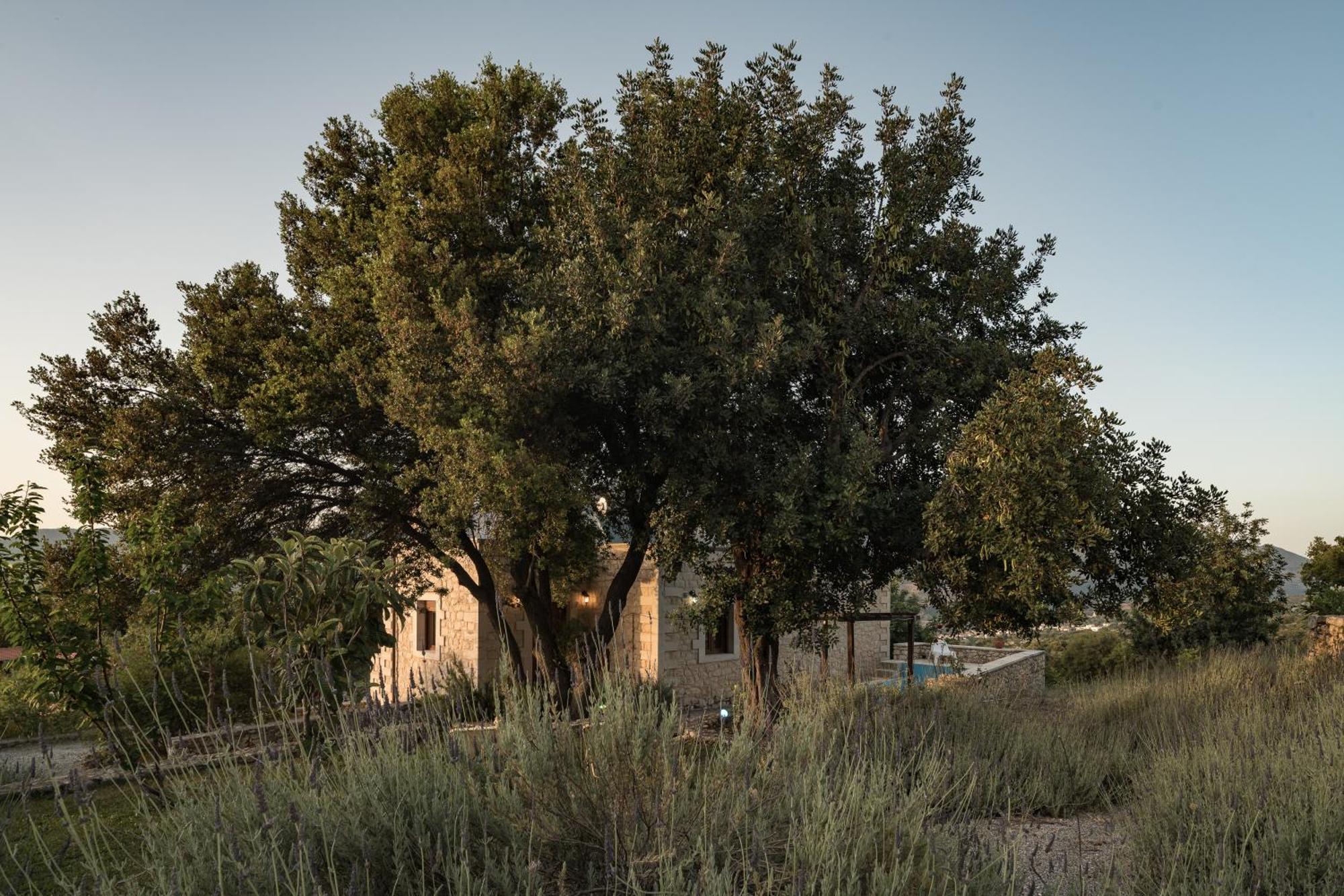 Koules Estate, With Private Pools & Bbq - Embracing Nature, By Thinkvilla Argouli Szoba fotó